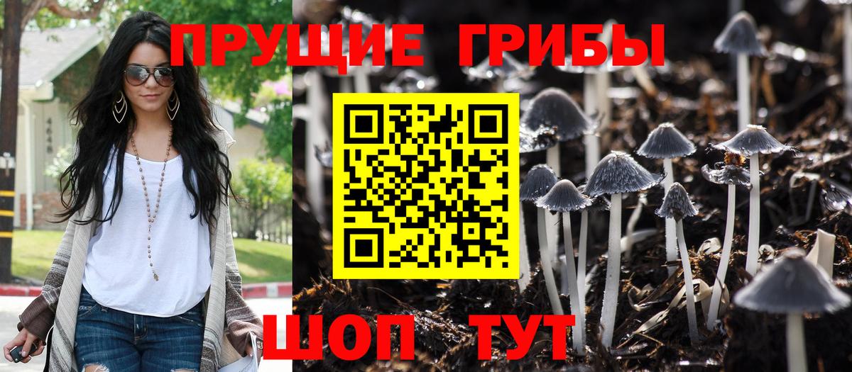 Галлюциногенные грибы Cubensis Сатка